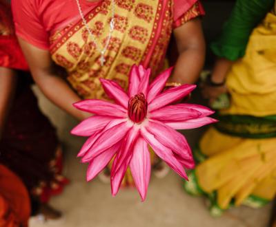 A pink color flower