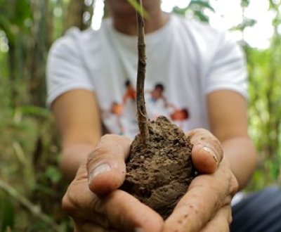 Holding a plant with mud in his hand