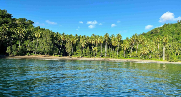 A Lake inside a Forest