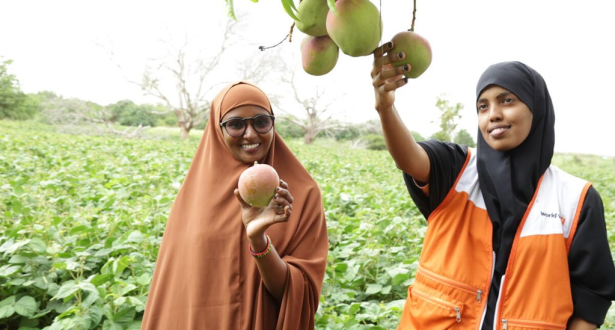 World Vision staff and ministry of agriculture conducting a field day visit to Masalani farm in Kenya.