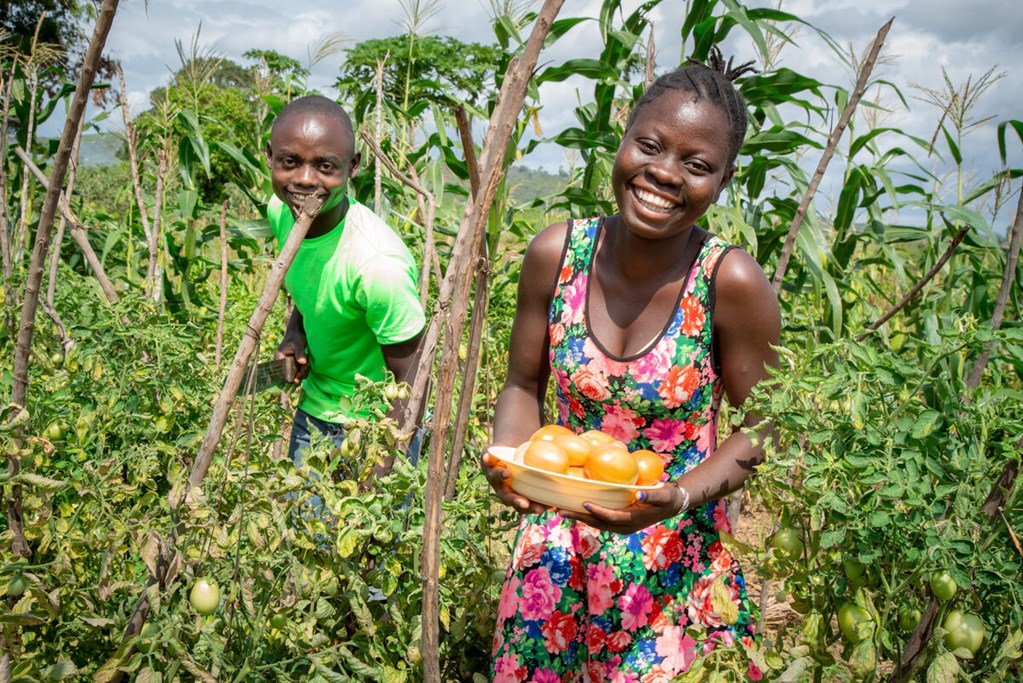 Rehema and Tuva in the tomato field in Kenya