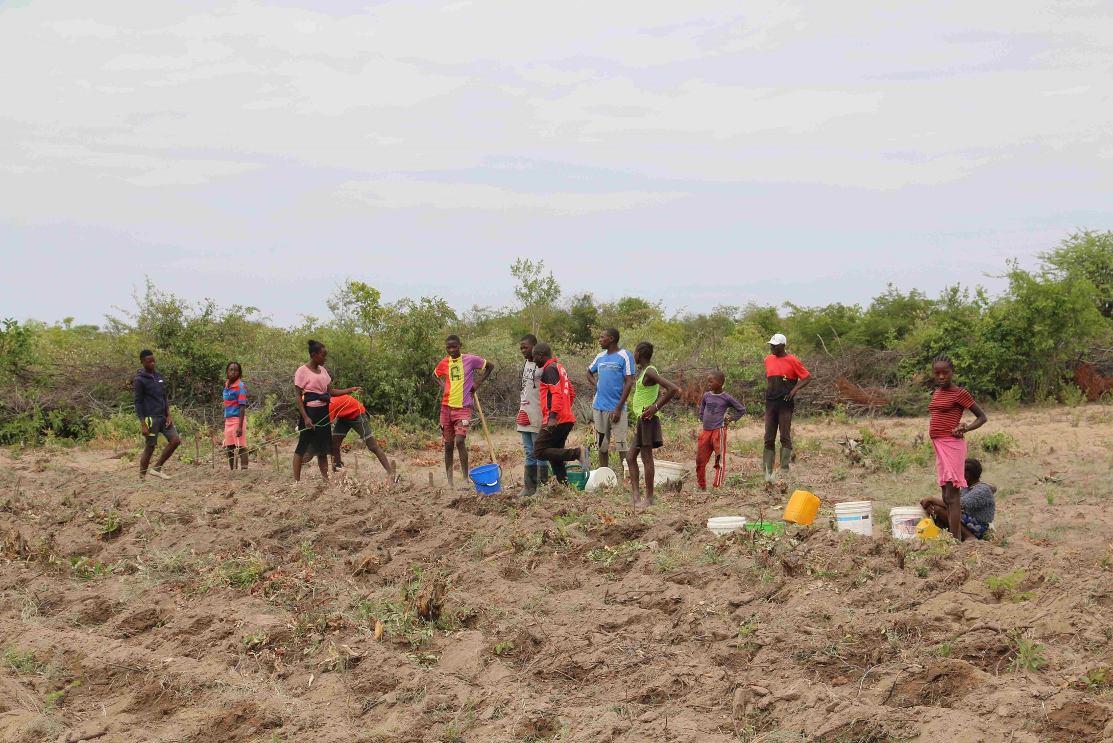 Children from field farming school in Angola planting crops in a field